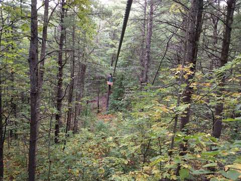 Treetop Trekking Ganaraska